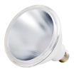 LED Par 38 Lamp